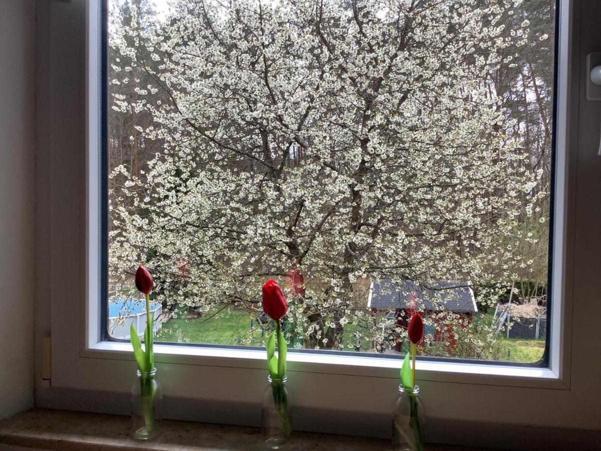 Ferienwohnung Schwarzachhoehe Nur Fuer Erwachsene Вендельштайн Экстерьер фото